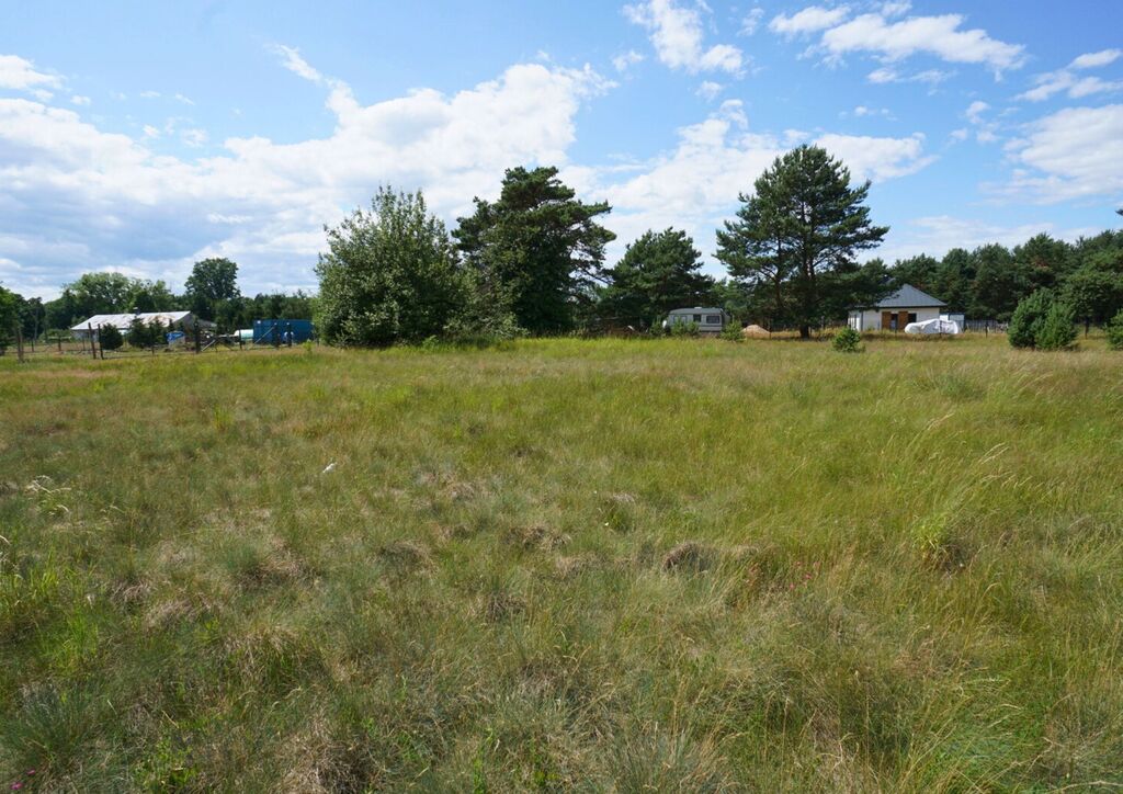 Działka na sprzedaż Dzisna 1 100 m2 | Arka Nieruchomości