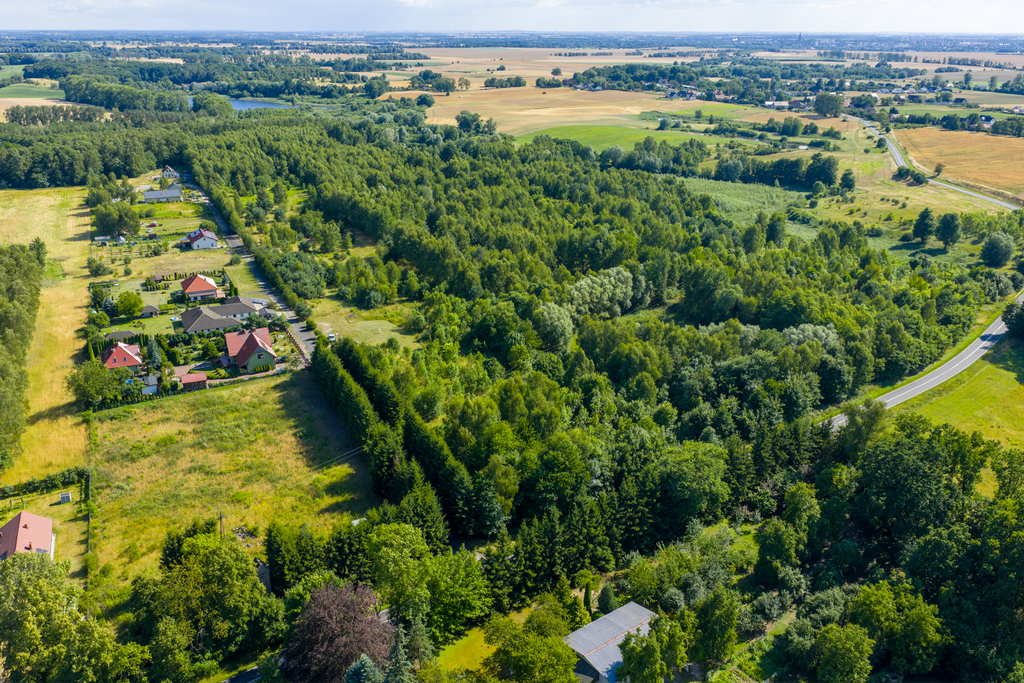 Działka na sprzedaż Grabowo 4 685 m2 | Arka Nieruchomości