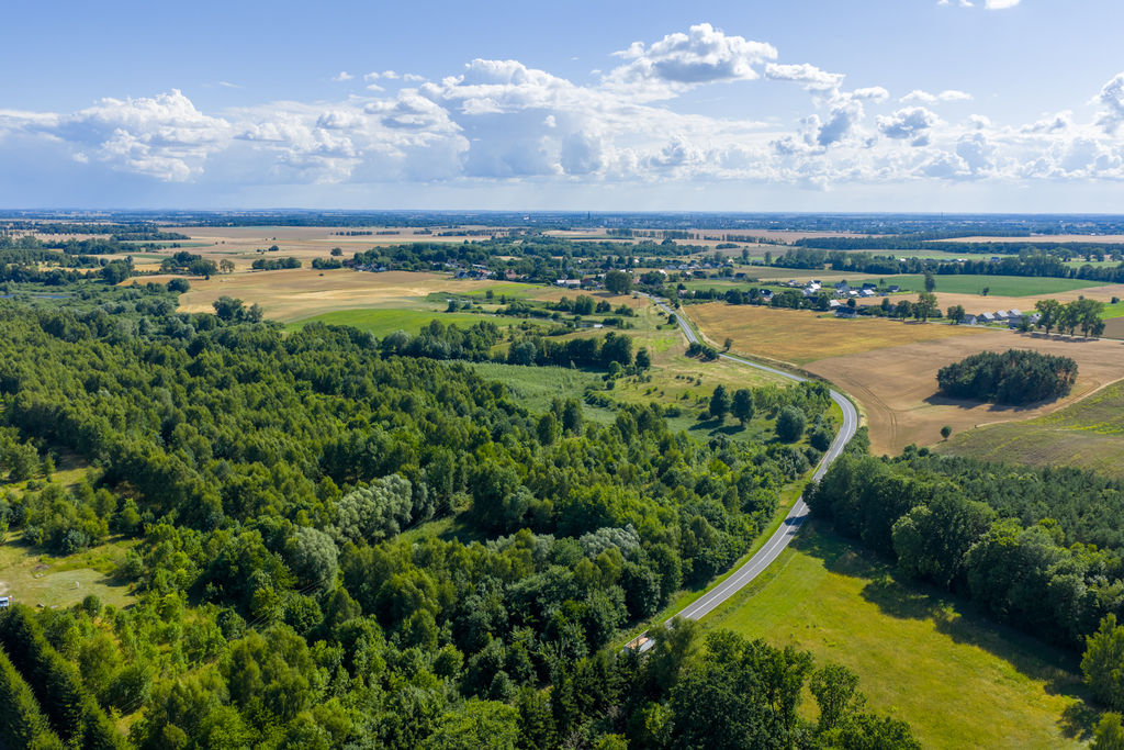 Działka na sprzedaż Grabowo 4 685 m2 | Arka Nieruchomości