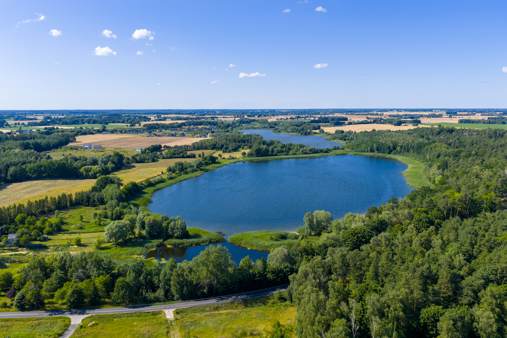 Działka na sprzedaż Grabowo 4 685 m2 | Arka Nieruchomości