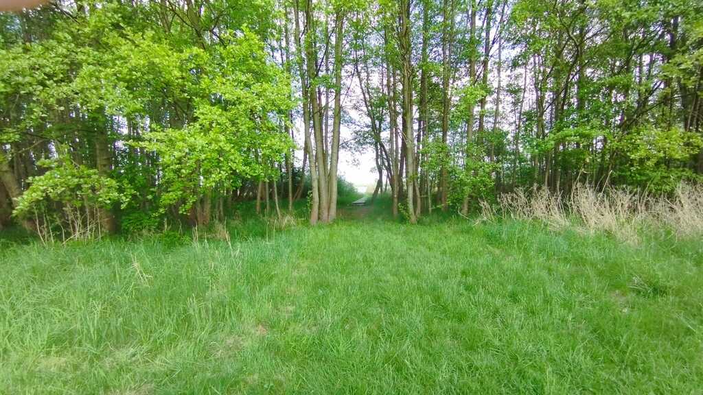 Działka na sprzedaż Żelewo 1 680 m2 | Arka Nieruchomości
