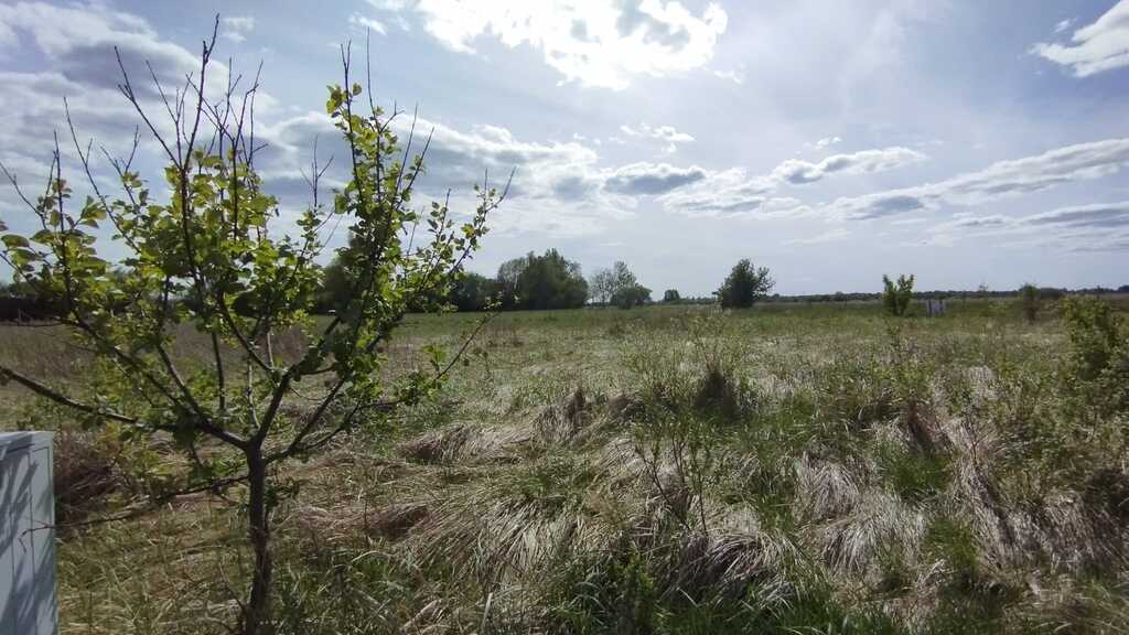 Działka na sprzedaż Żelewo 1 680 m2 | Arka Nieruchomości