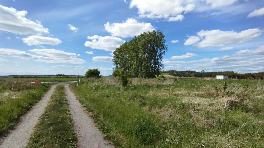 Działka na sprzedaż Żelewo 1 680 m2 | Arka Nieruchomości