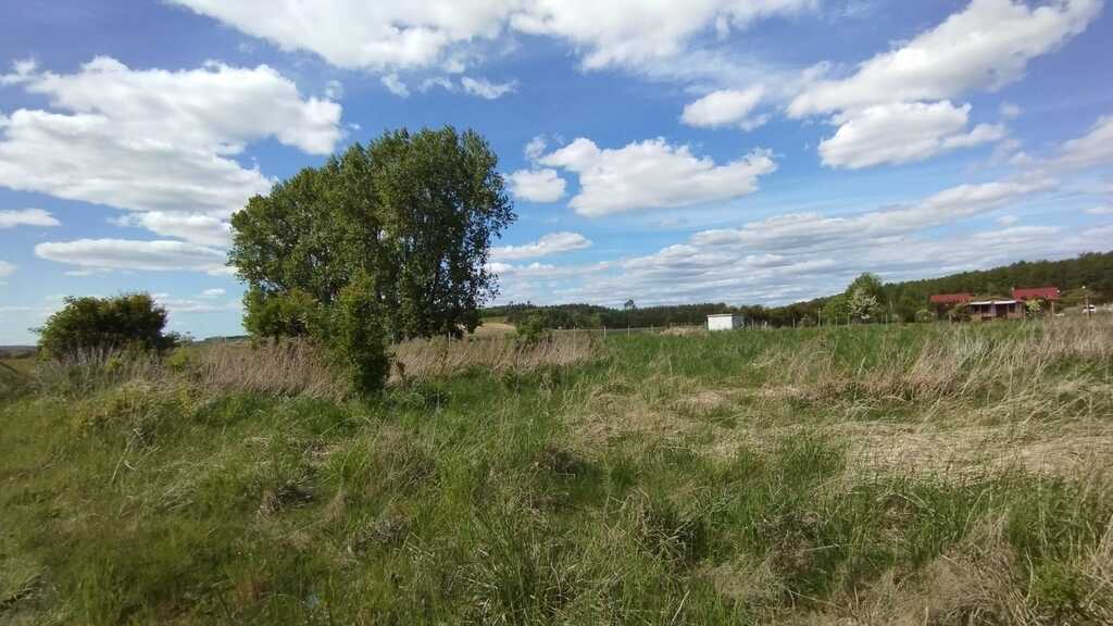 Działka na sprzedaż Żelewo 1 680 m2 | Arka Nieruchomości