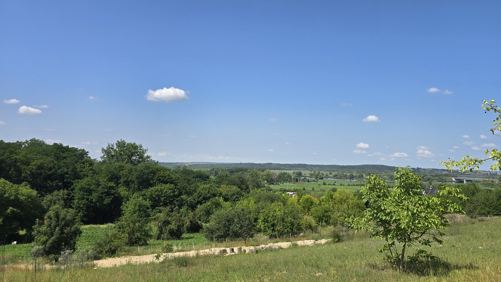 Działka na sprzedaż Radziszewo 2 616 m2 | Arka Nieruchomości