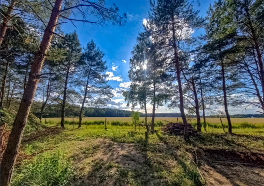 Działka na sprzedaż Kobylanka 1 235 m2 | Arka Nieruchomości