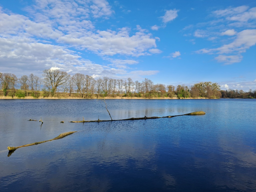 Działka na sprzedaż Choszczno 3 066 m2 | Arka Nieruchomości