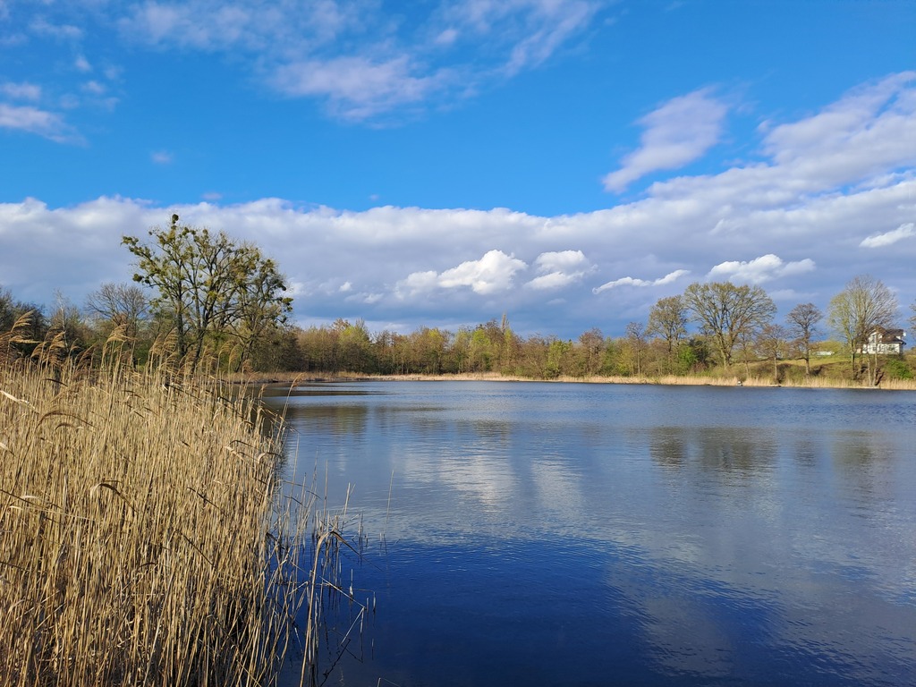 Działka na sprzedaż Choszczno 3 066 m2 | Arka Nieruchomości