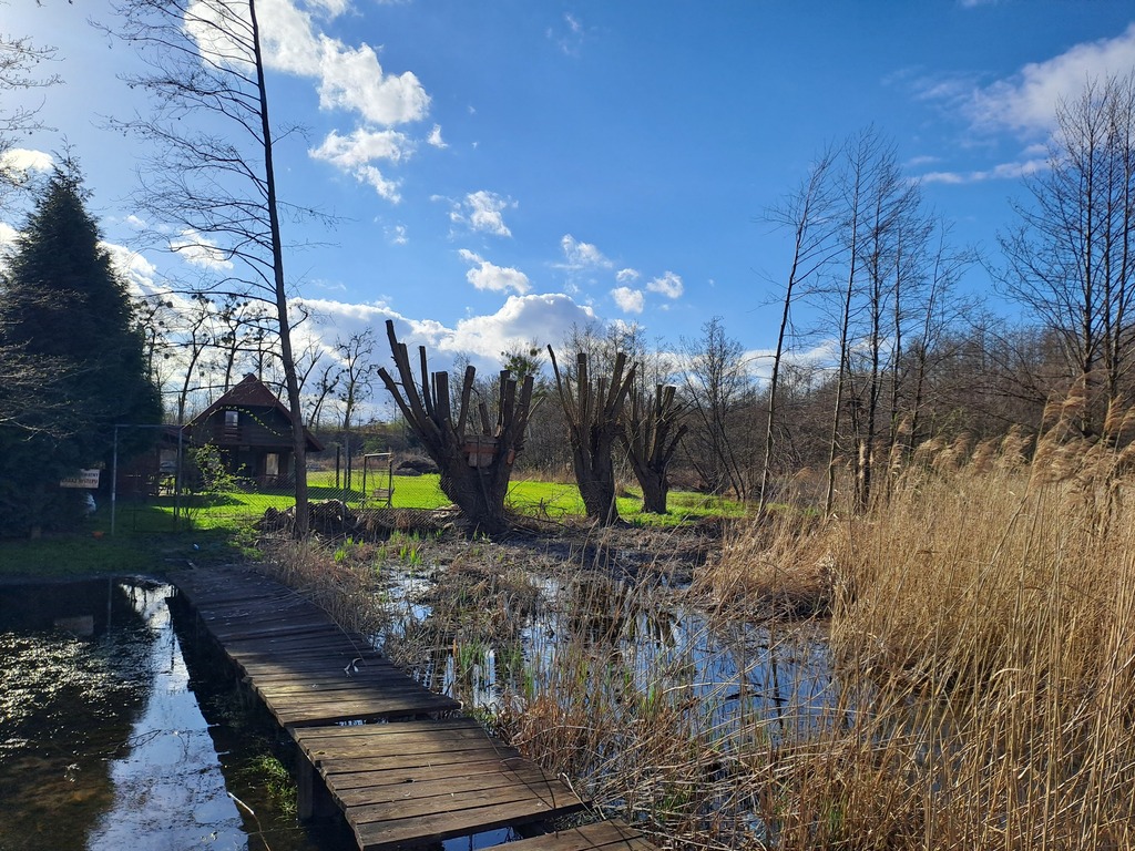 Działka na sprzedaż Choszczno 3 066 m2 | Arka Nieruchomości