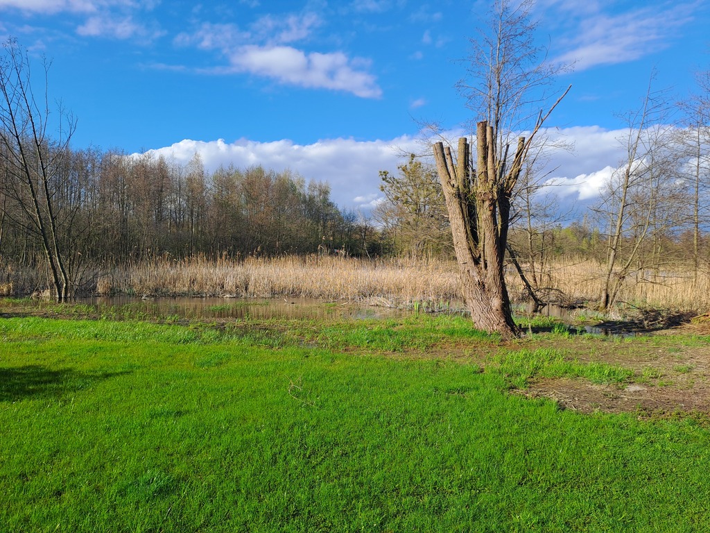 Działka na sprzedaż Choszczno 3 066 m2 | Arka Nieruchomości