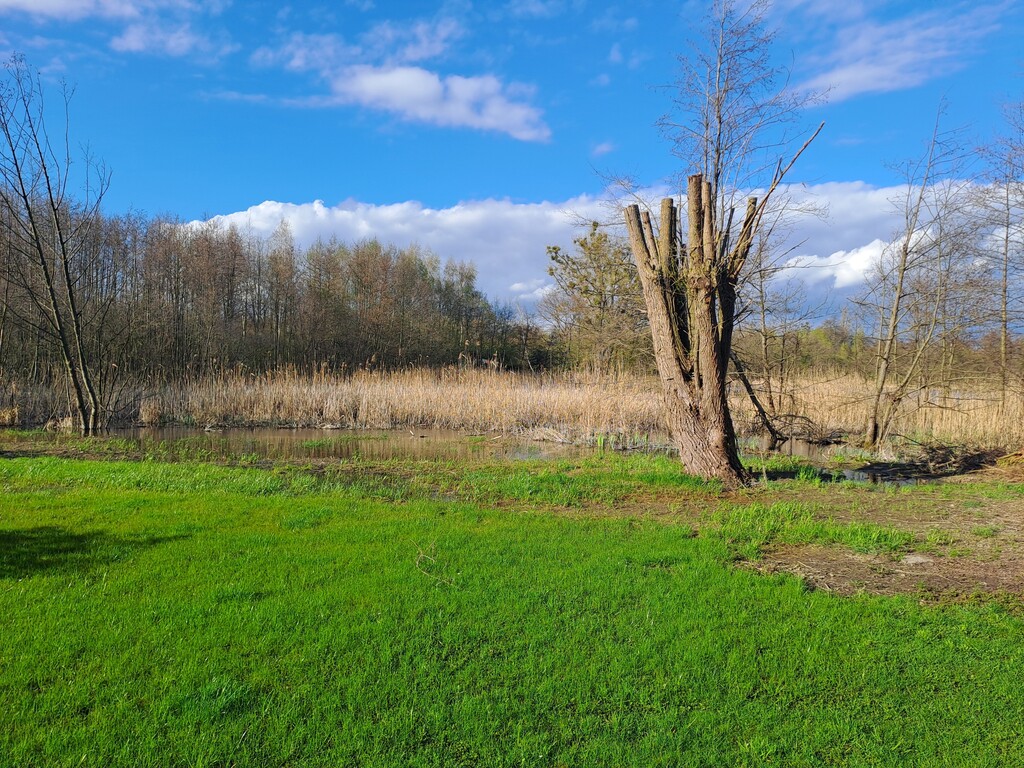 Działka na sprzedaż Choszczno 3 066 m2 | Arka Nieruchomości