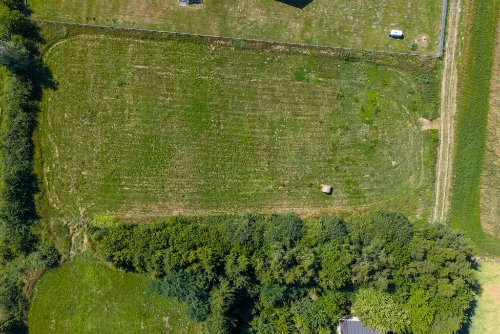 Działka na sprzedaż Laska 4 224 m2 | Arka Nieruchomości