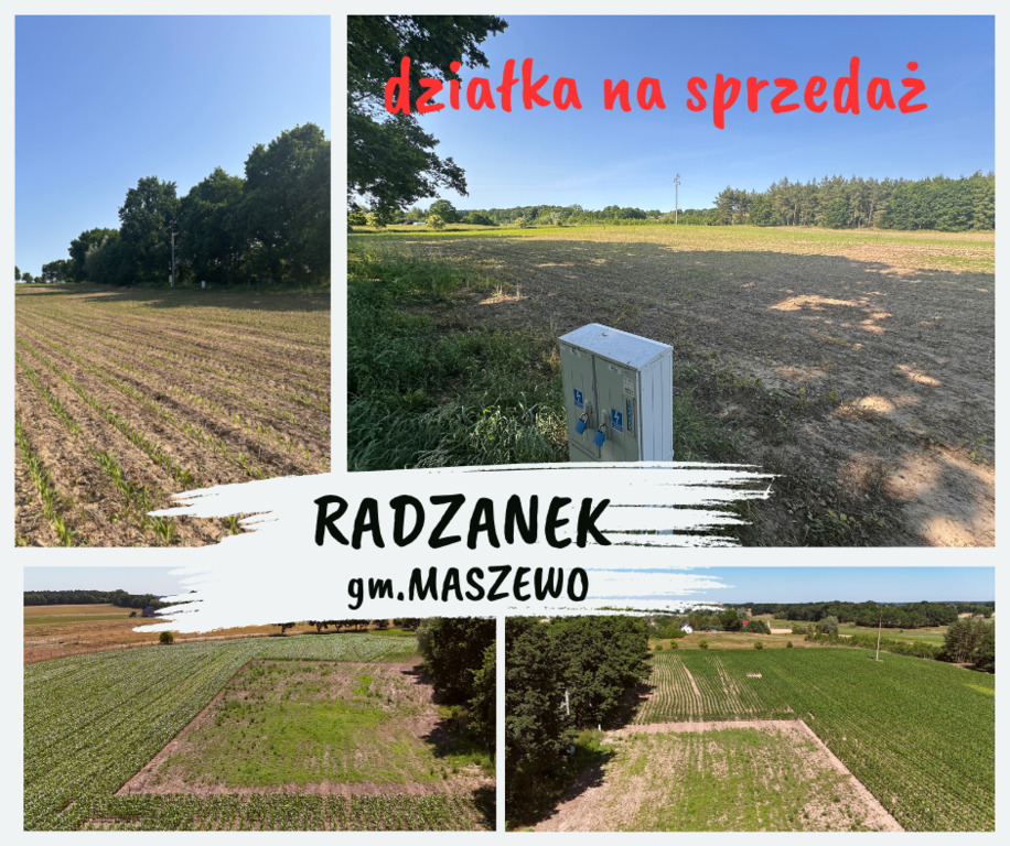 Działka na sprzedaż Radzanek 1 159 m2 | Arka Nieruchomości