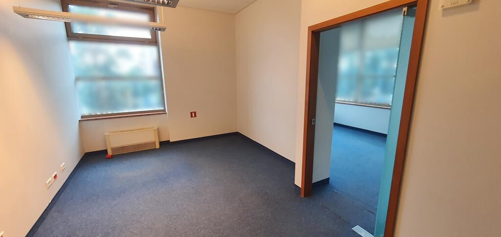 Lokal na wynajem Szczecin, Śródmieście-Centrum 241 m2 | Arka Nieruchomości