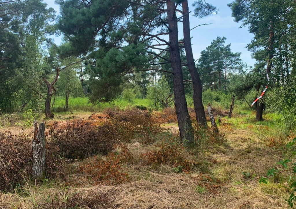 Działka na sprzedaż Międzywodzie 1 817 m2 | Arka Nieruchomości