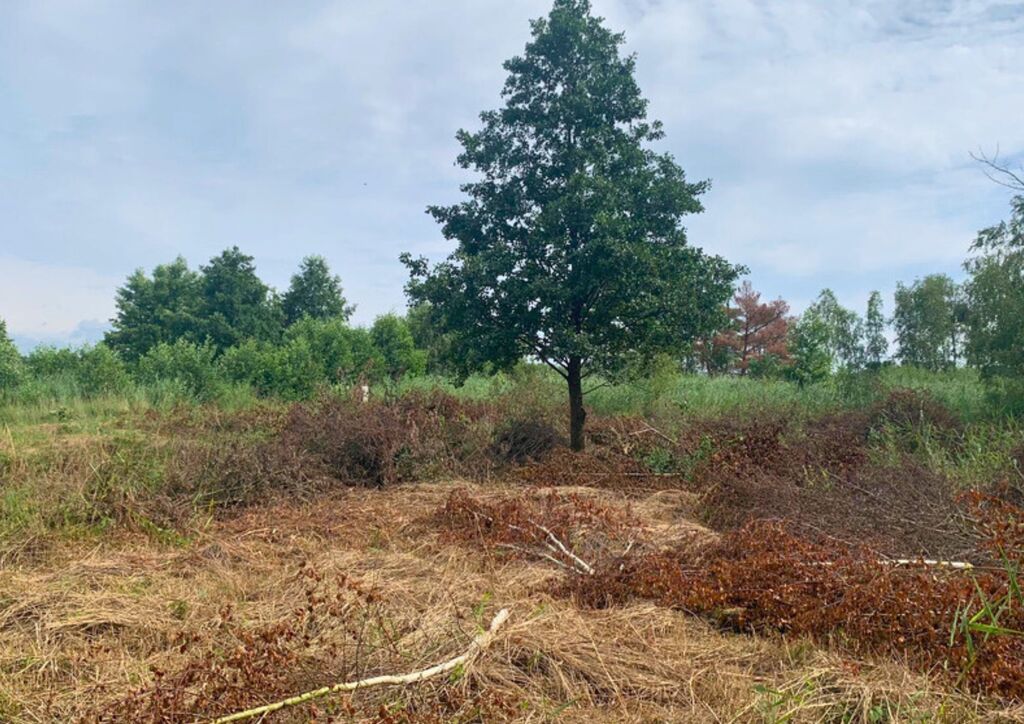 Działka na sprzedaż Międzywodzie 1 817 m2 | Arka Nieruchomości