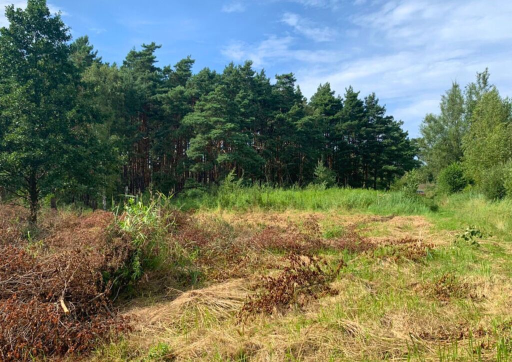 Działka na sprzedaż Międzywodzie 1 817 m2 | Arka Nieruchomości