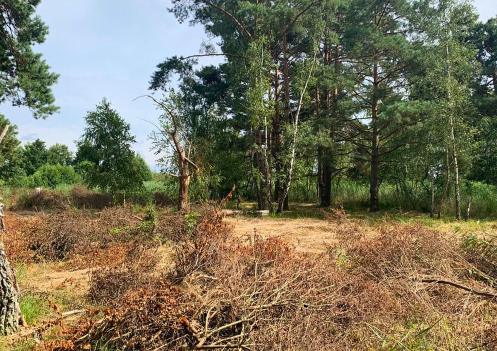 Działka na sprzedaż Międzywodzie 1 817 m2 | Arka Nieruchomości