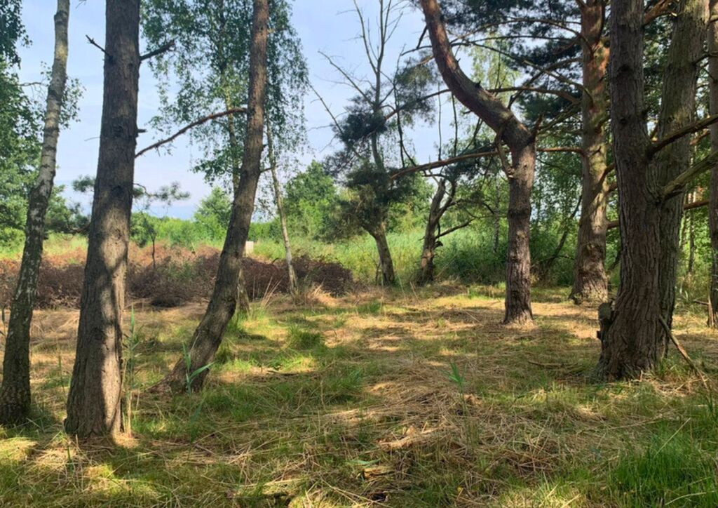 Działka na sprzedaż Międzywodzie 1 817 m2 | Arka Nieruchomości