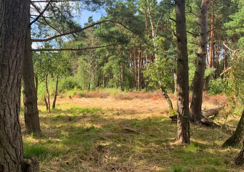 Działka na sprzedaż Międzywodzie 1 817 m2 | Arka Nieruchomości