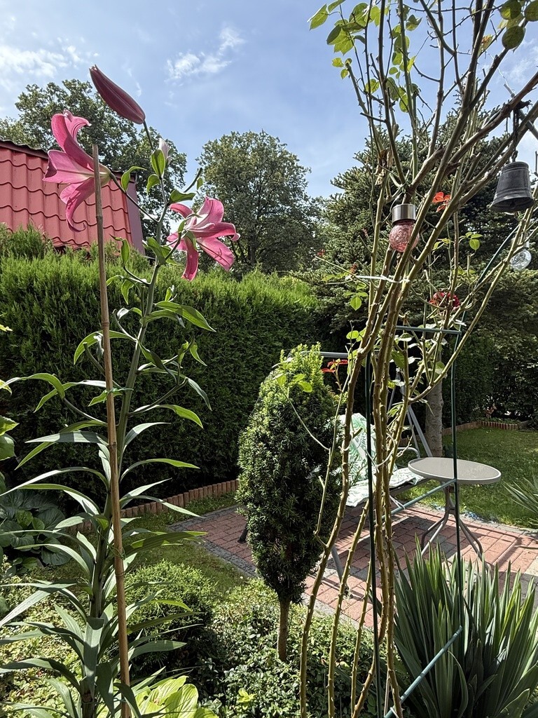 Dom na sprzedaż Bartoszewo 70 m2 | Arka Nieruchomości