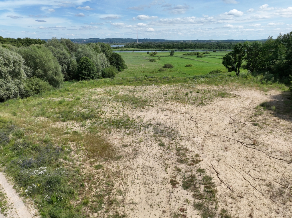 Działka na sprzedaż Kurów 2 612 m2 | Arka Nieruchomości