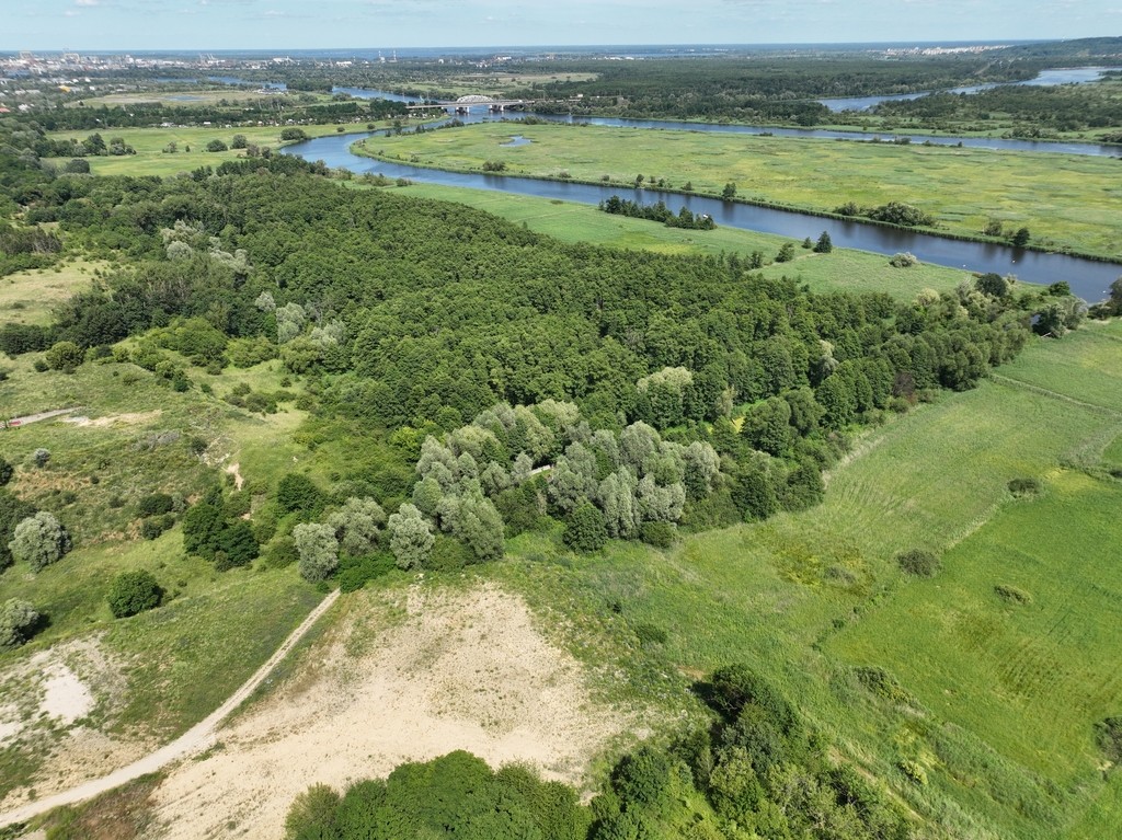 Działka na sprzedaż Kurów 2 612 m2 | Arka Nieruchomości