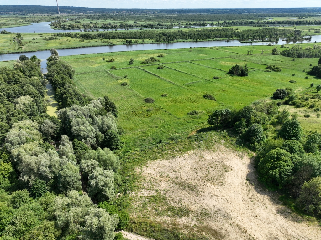 Działka na sprzedaż Kurów 2 612 m2 | Arka Nieruchomości