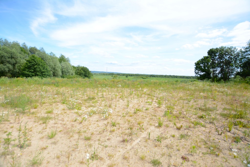 Działka na sprzedaż Kurów 2 612 m2 | Arka Nieruchomości