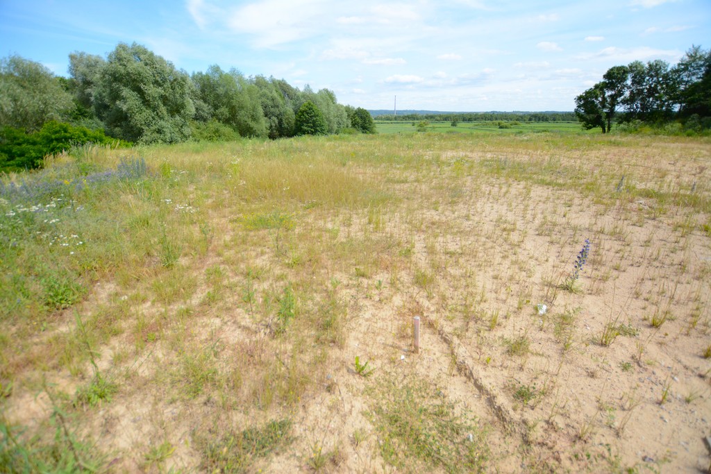 Działka na sprzedaż Kurów 2 612 m2 | Arka Nieruchomości