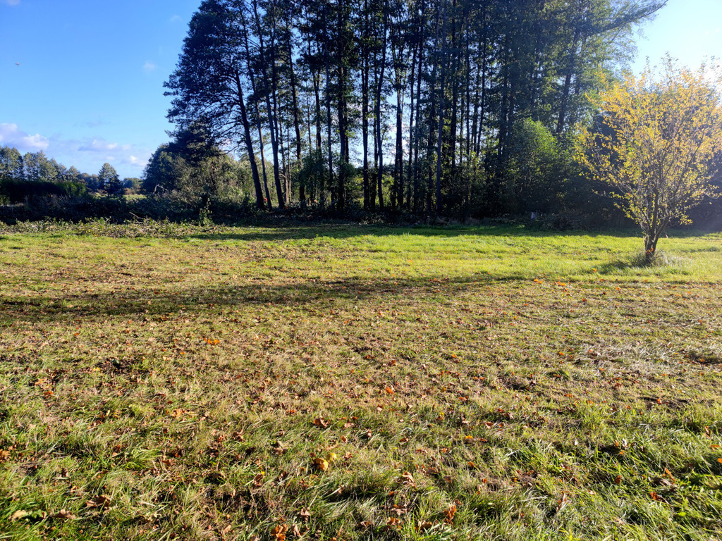 Działka na sprzedaż Rzędziny 1 102 m2 | Arka Nieruchomości