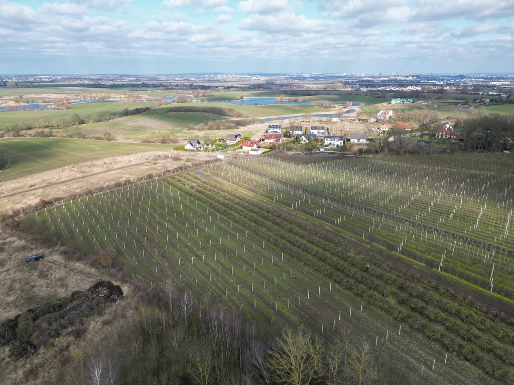 Działka na sprzedaż Karwowo 1 357 m2 | Arka Nieruchomości