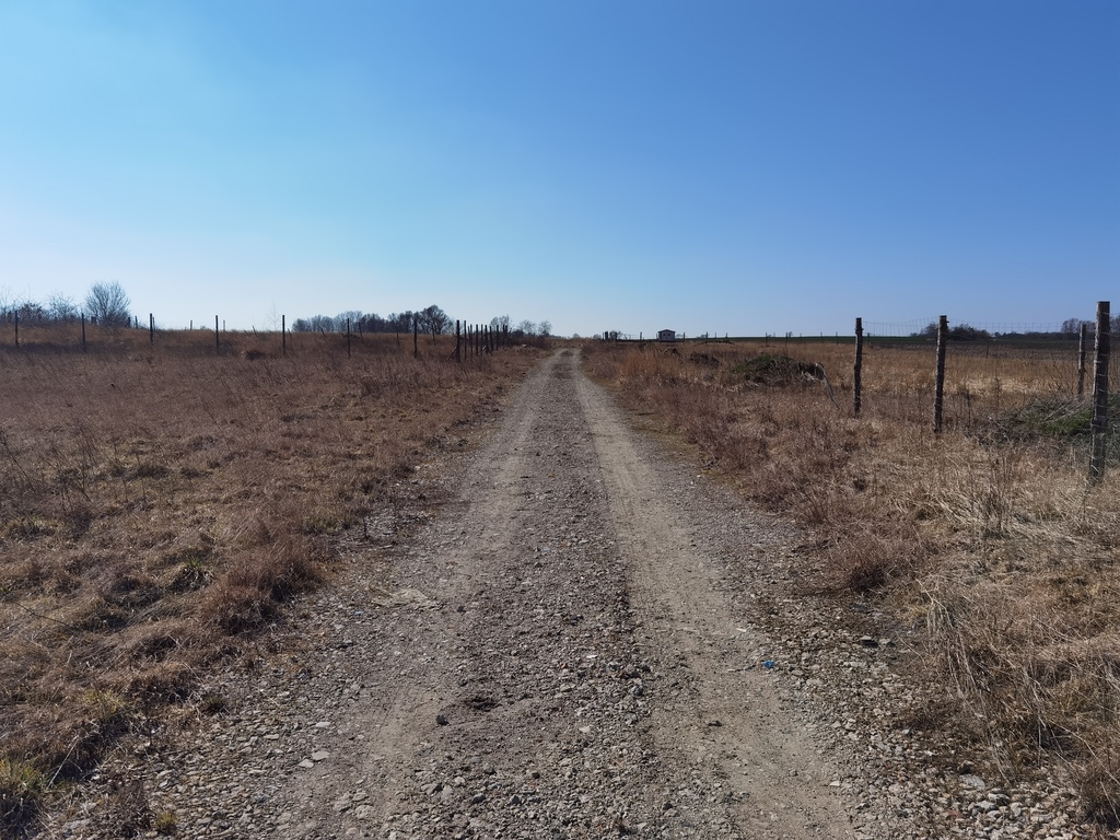 Działka na sprzedaż Karwowo 1 357 m2 | Arka Nieruchomości