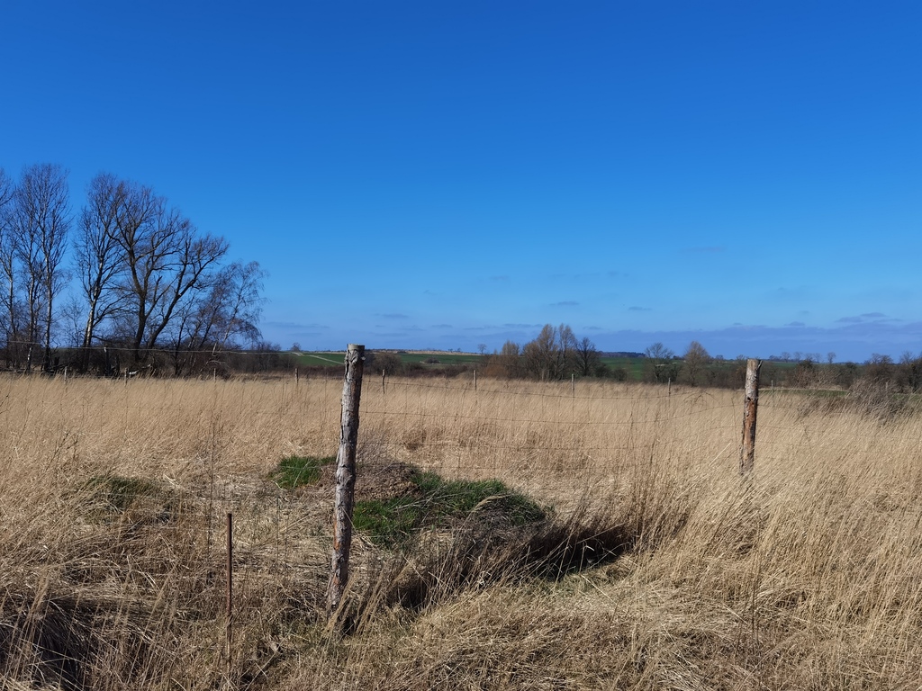 Działka na sprzedaż Karwowo 1 357 m2 | Arka Nieruchomości