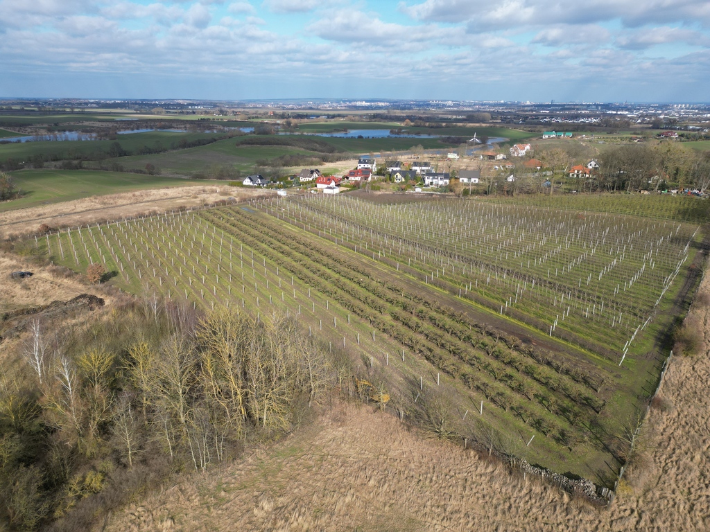 Działka na sprzedaż Karwowo 1 357 m2 | Arka Nieruchomości