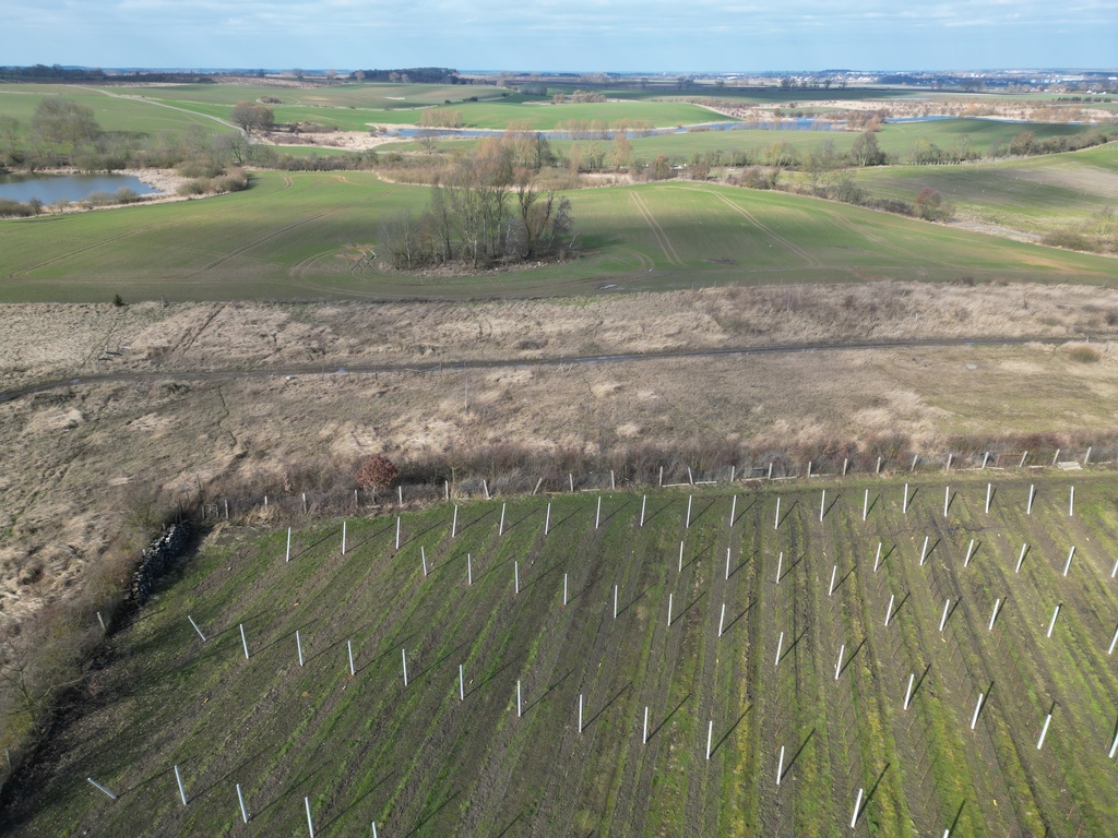 Działka na sprzedaż Karwowo 1 357 m2 | Arka Nieruchomości