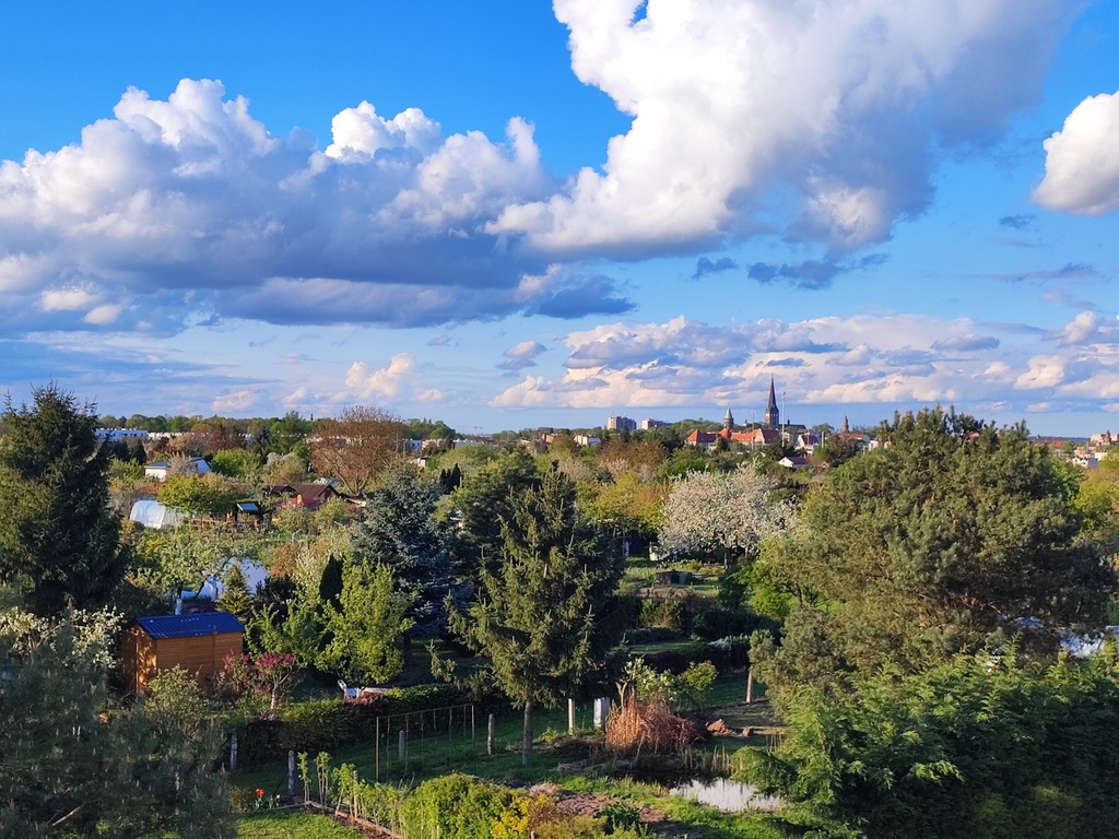 Mieszkanie na wynajem Stargard 26 m2 | Arka Nieruchomości