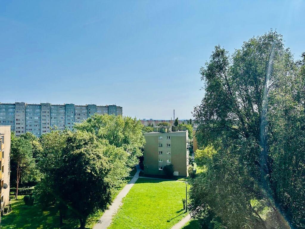 Zdjęcie nieruchomości