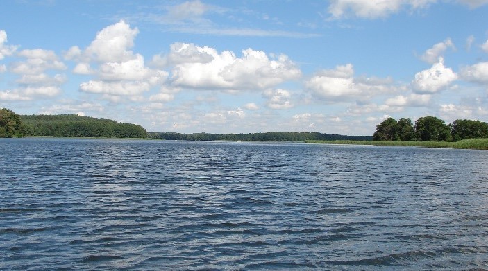 Działka na sprzedaż Dąbrowica 1 115 m2 | Arka Nieruchomości