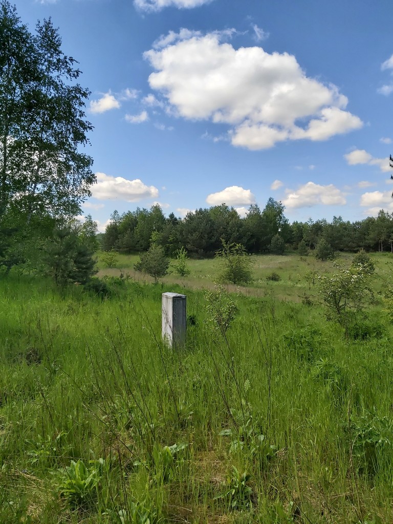 Działka na sprzedaż Dąbrowica 1 115 m2 | Arka Nieruchomości
