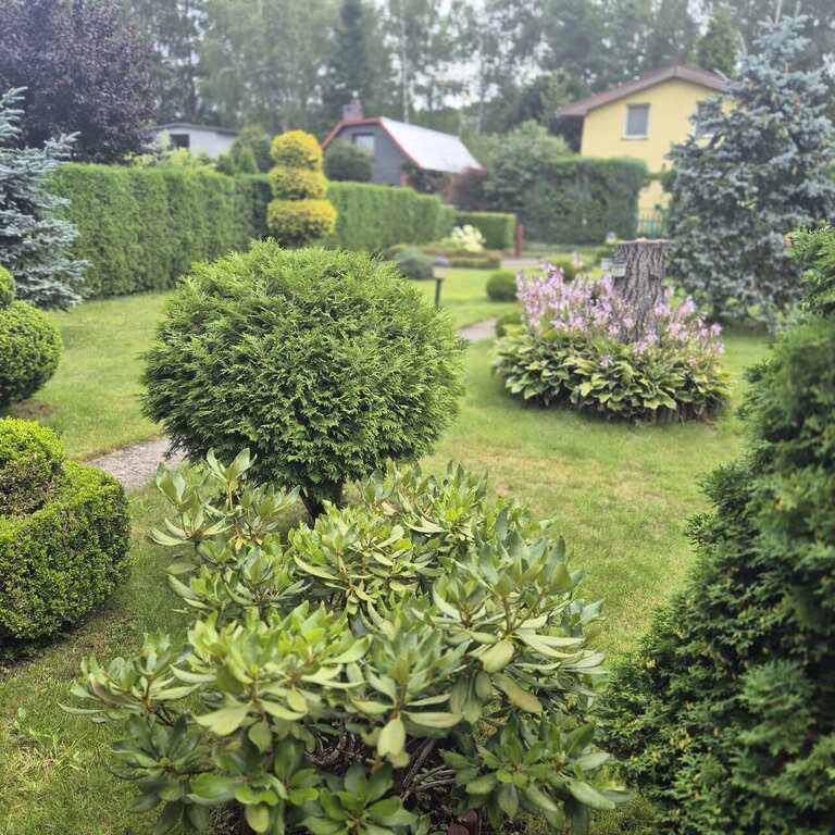 Dom na sprzedaż Bartoszewo 34 m2 | Arka Nieruchomości