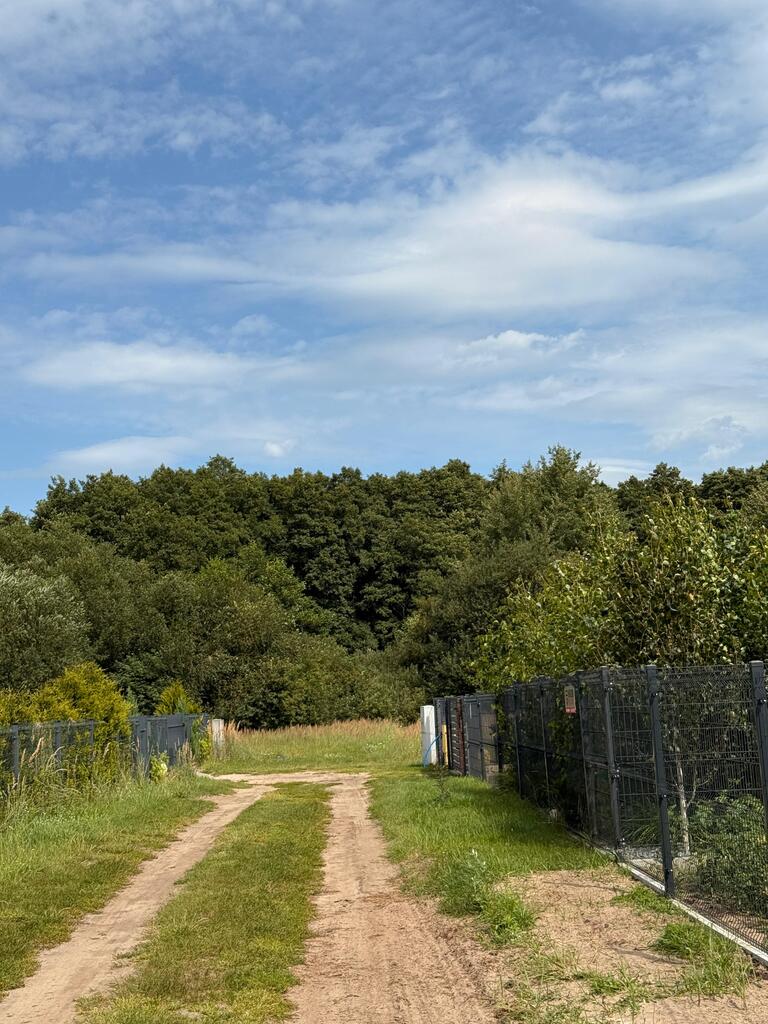 Działka na sprzedaż Sławoszewo 3 000 m2 | Arka Nieruchomości