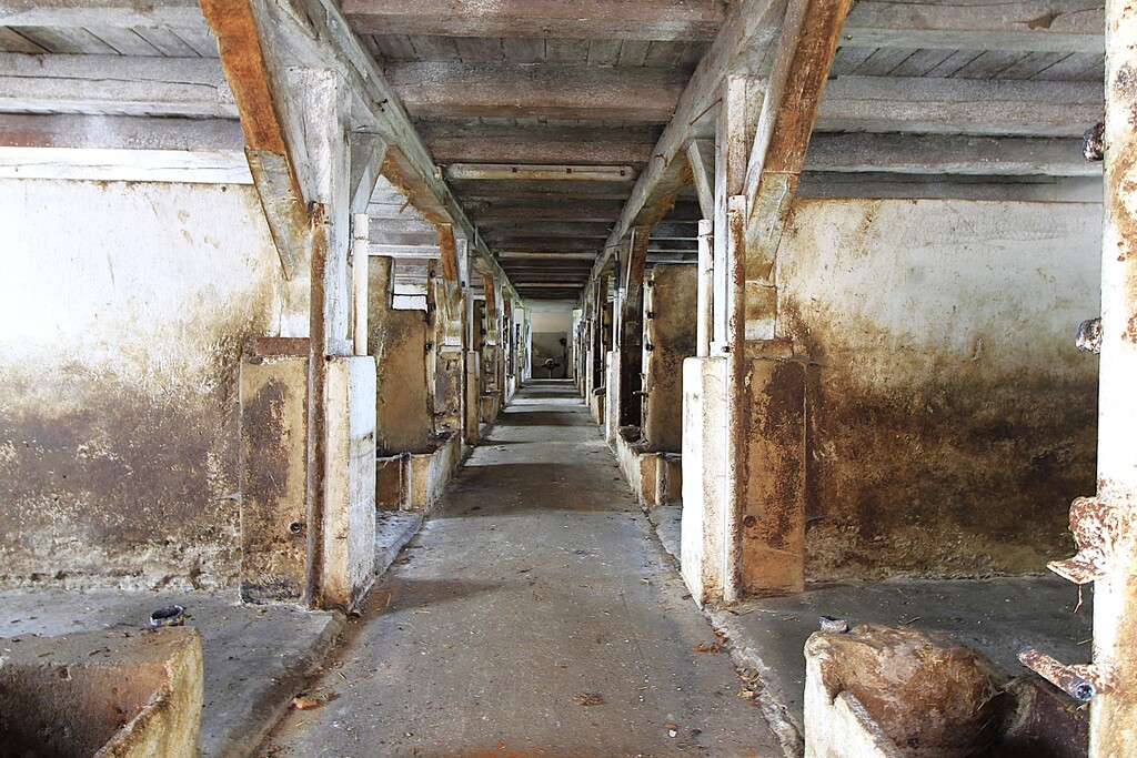 Obiekt na sprzedaż Strzyżno 4 261 m2 | Arka Nieruchomości