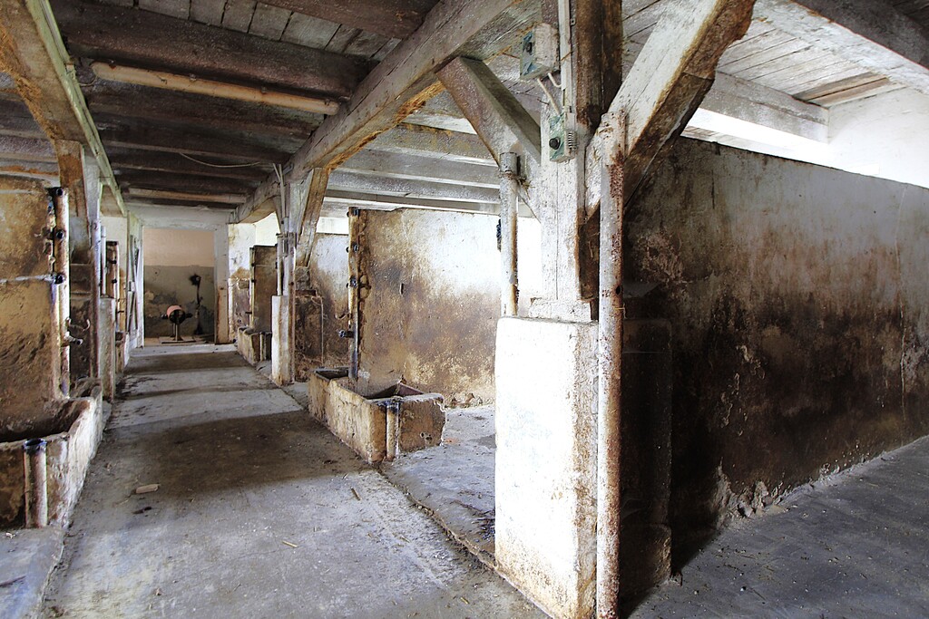 Obiekt na sprzedaż Strzyżno 4 261 m2 | Arka Nieruchomości