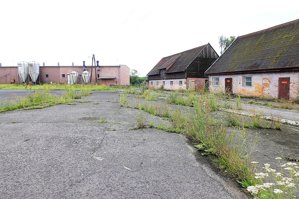 Obiekt na sprzedaż Strzyżno 4 261 m2 | Arka Nieruchomości