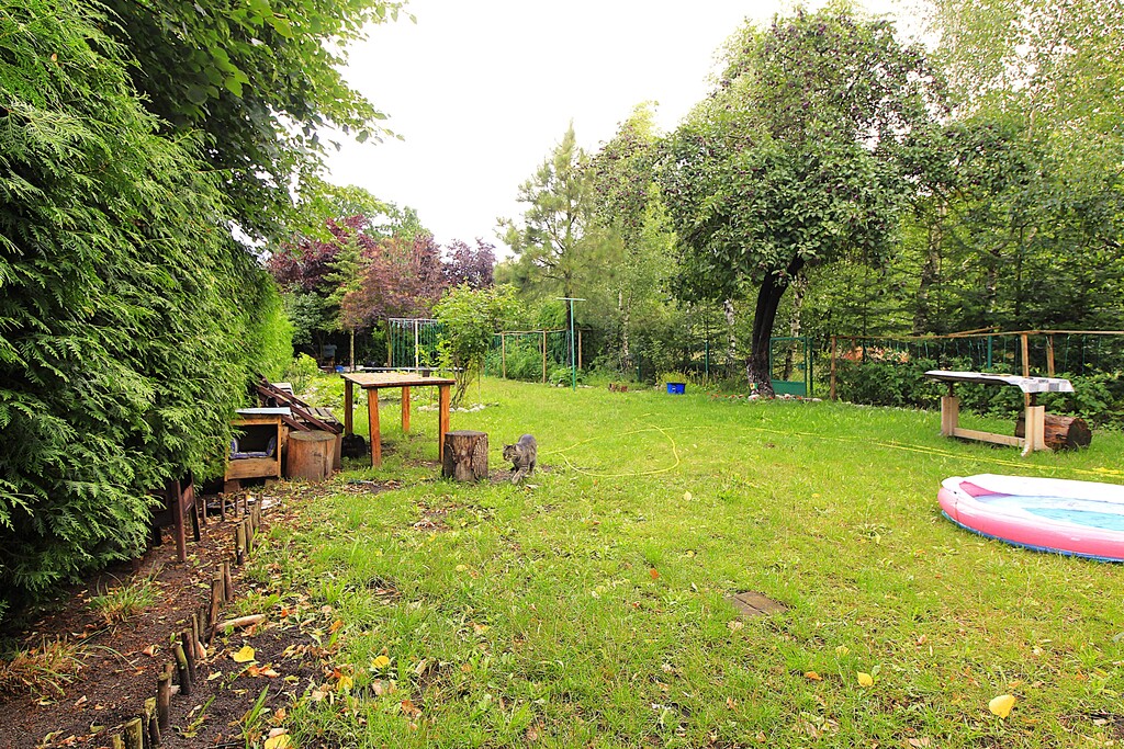 Obiekt na sprzedaż Strzyżno 4 261 m2 | Arka Nieruchomości