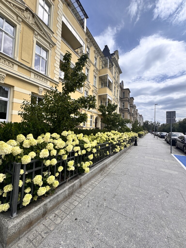 Mieszkanie na wynajem Szczecin, Centrum 48 m2 | Arka Nieruchomości