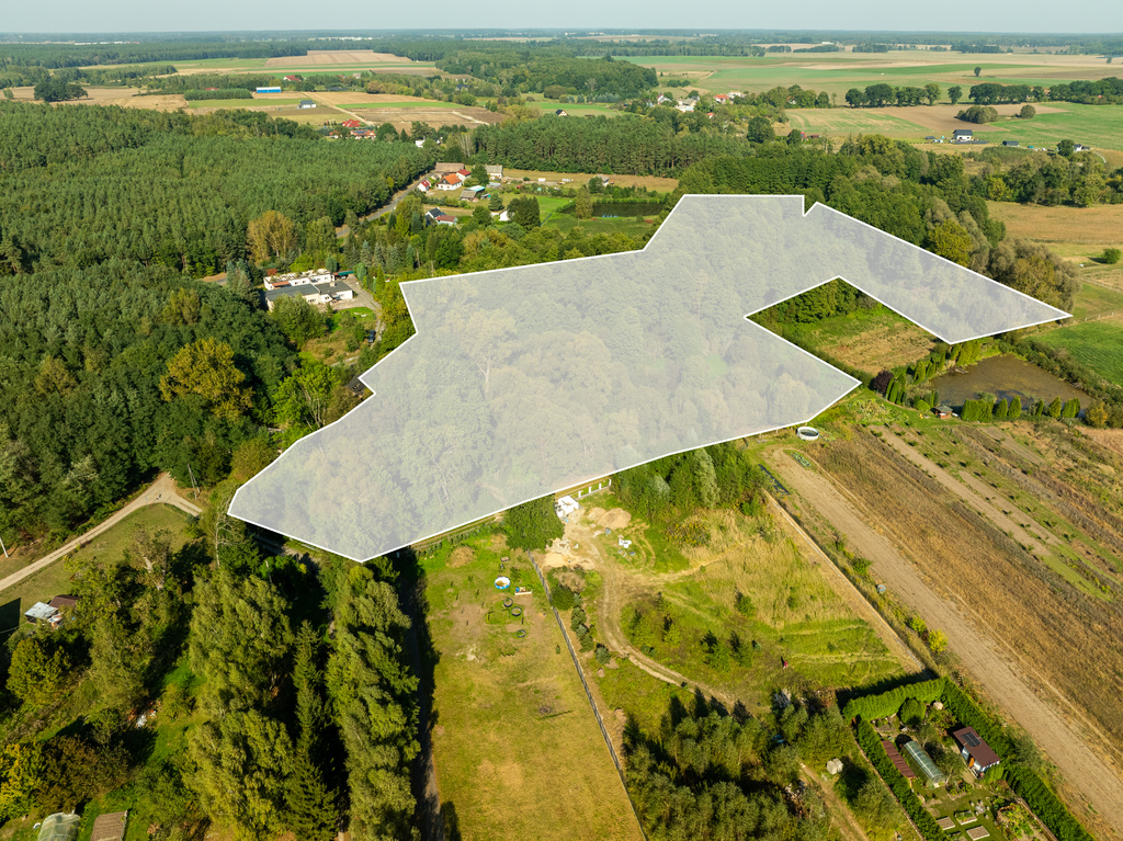 Działka na sprzedaż Stawno 29 200 m2 | Arka Nieruchomości