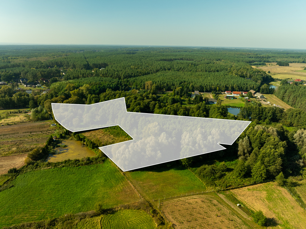 Działka na sprzedaż Stawno 29 200 m2 | Arka Nieruchomości