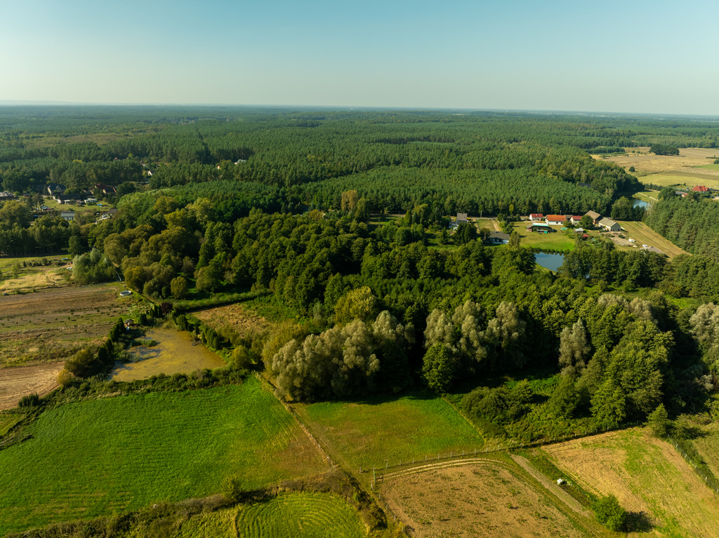 Działka na sprzedaż Stawno 29 200 m2 | Arka Nieruchomości